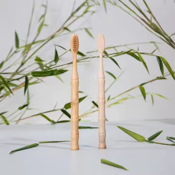 Bambu-jointformad bambu tandborste